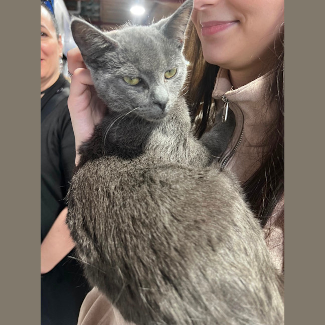 Photo of Pebbles 