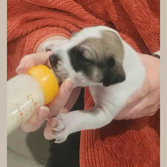 Photo of Lumpy Space Princess