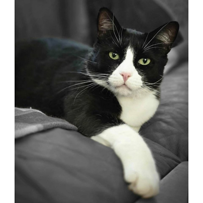 Photo of 7829   Freddie