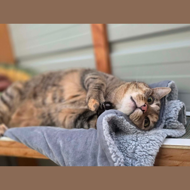 Photo of Echo