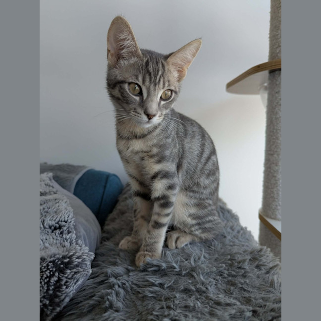 Photo of Meridith Grey