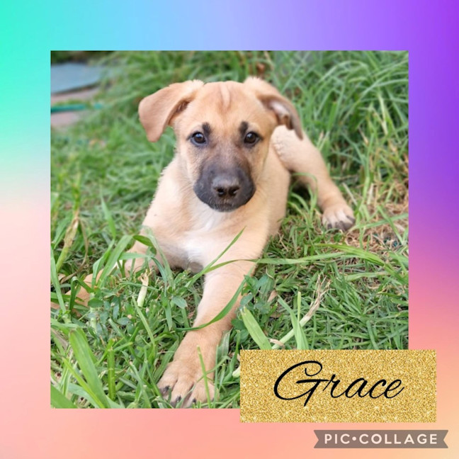 Photo of Grace