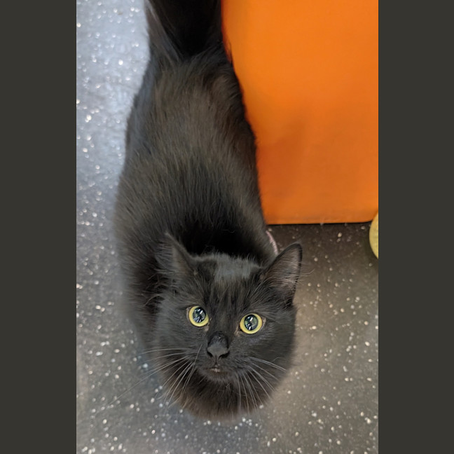 Photo of Maisy