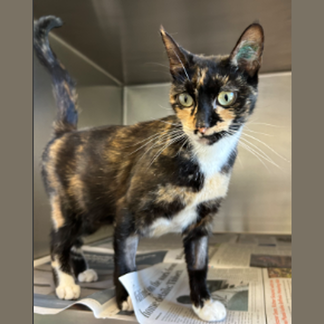 Photo of Mumma Ginge