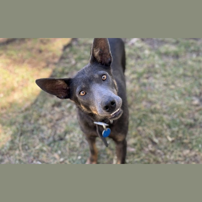Photo of Bazza