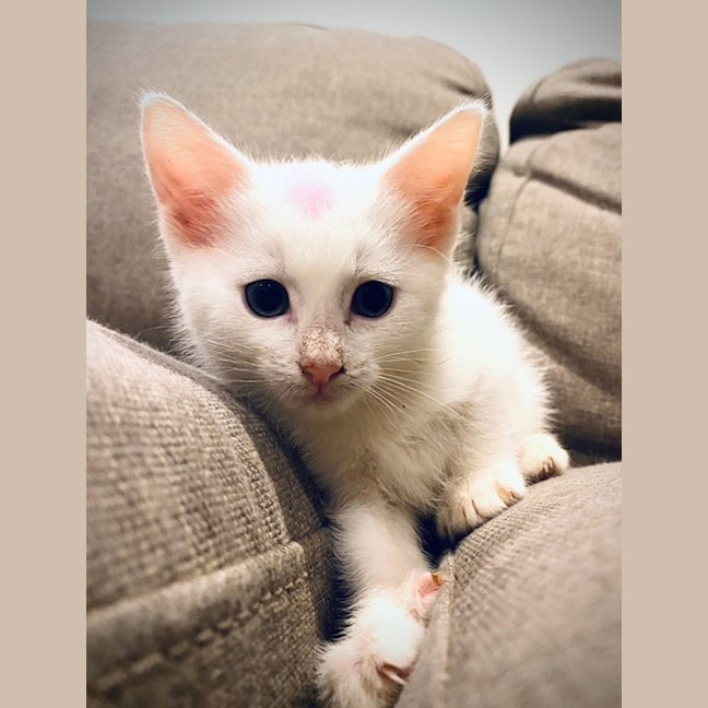 Photo of Pinky 