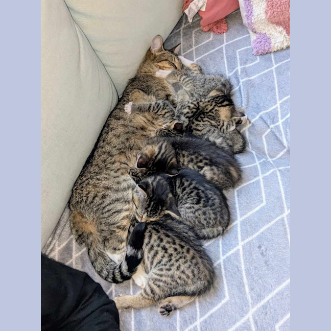 Photo of Rosie & Bailey 