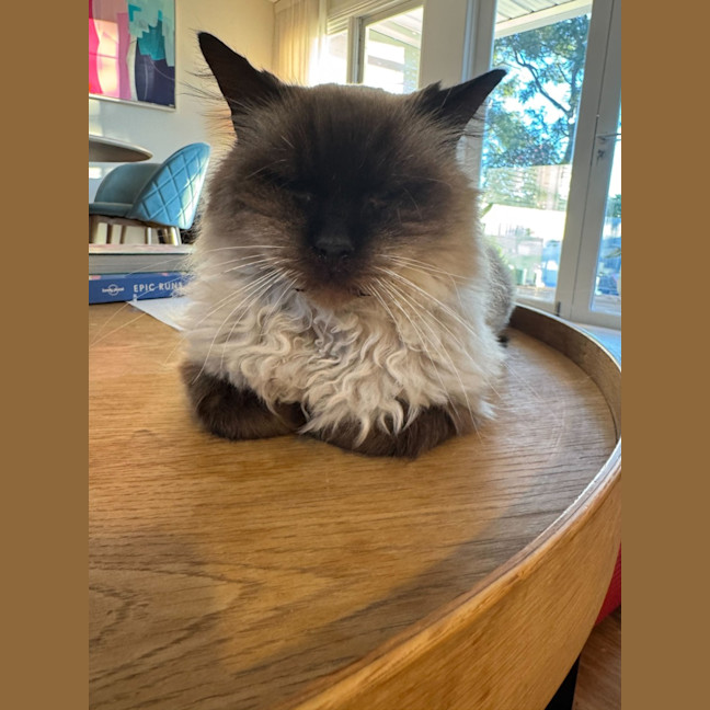 Photo of Elvis Presley