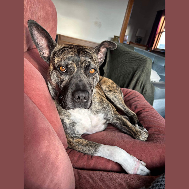 Photo of Lola