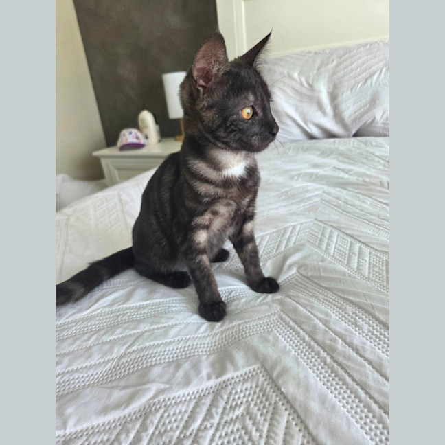Photo of Wednesday