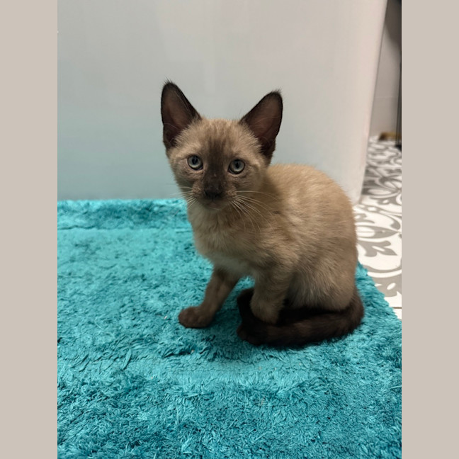Photo of Mia