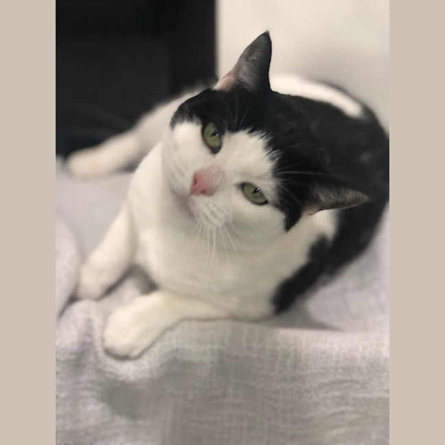 Photo of Alice