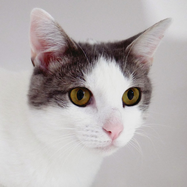 Photo of Minna Suk013618