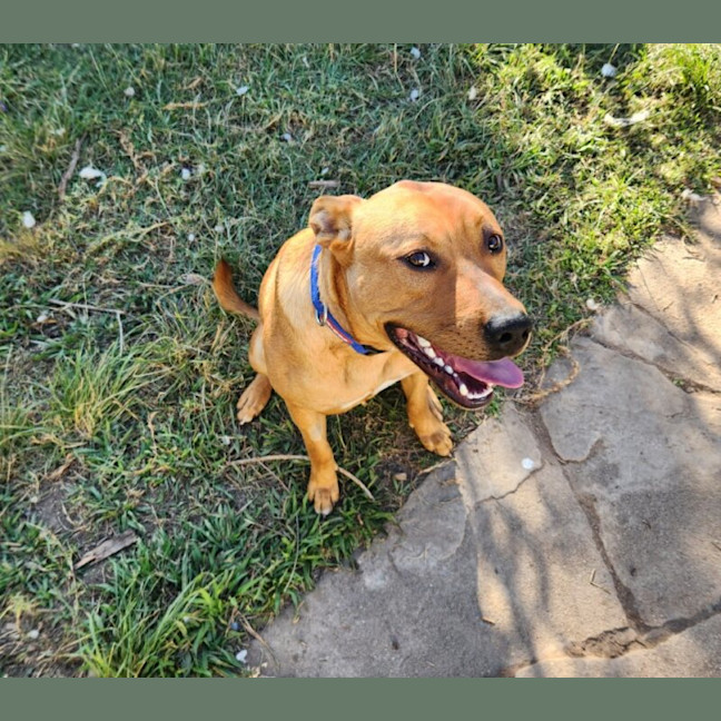 Photo of Buster