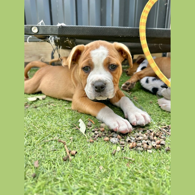 Photo of Swatch