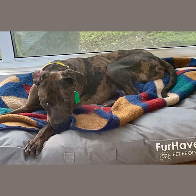 Photo of Uncle Fester