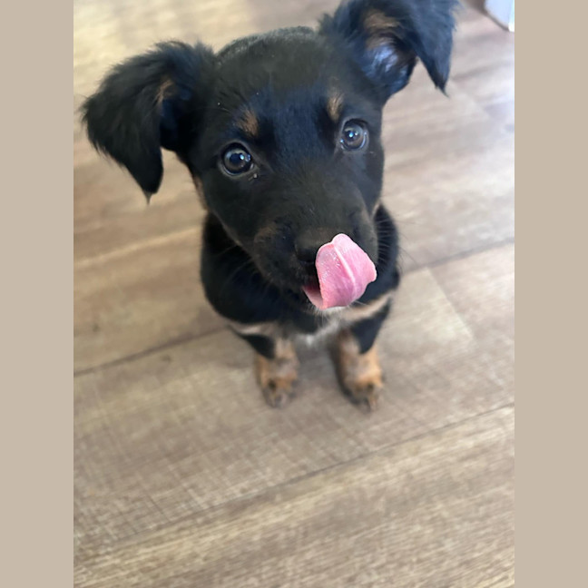 Photo of Lucy