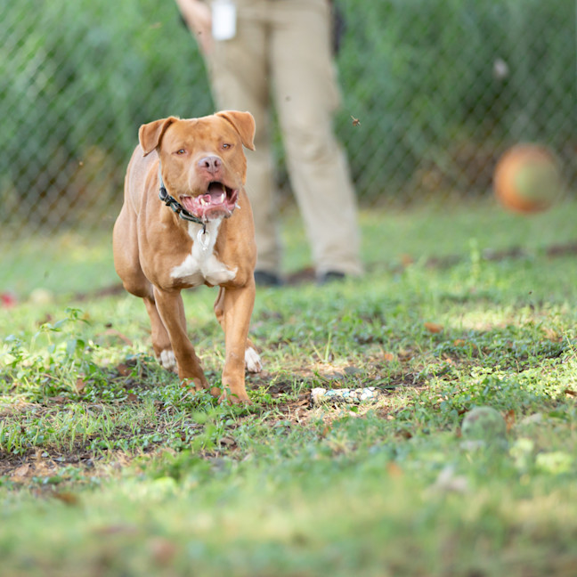 Photo of Tucker