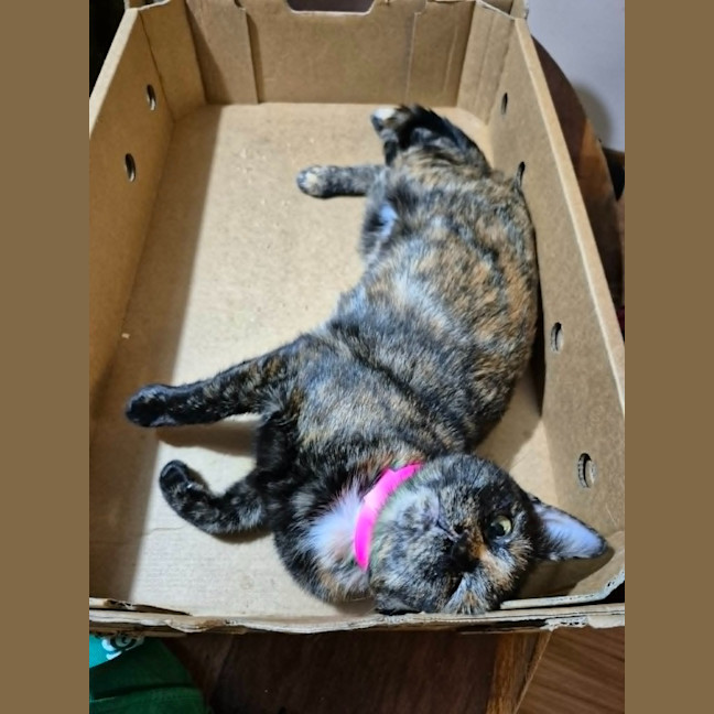 Photo of Sabrina