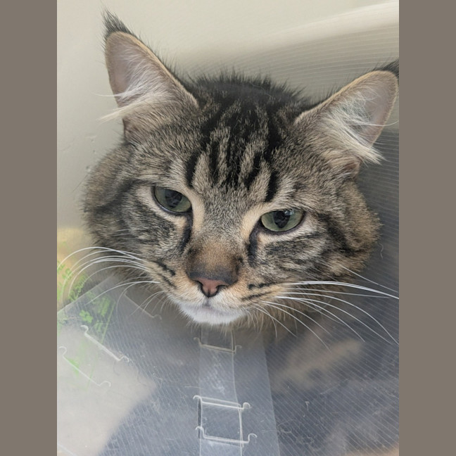 Photo of 💘 Romeo 6548 💘