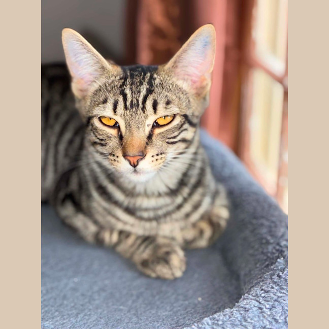 Photo of Bruce