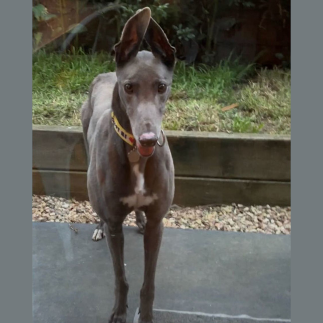 Photo of Cash