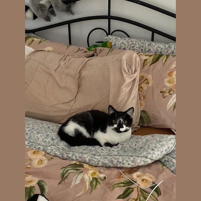 Photo of Bella 