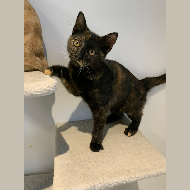 Photo of Veruca