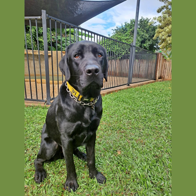 Photo of Paddy