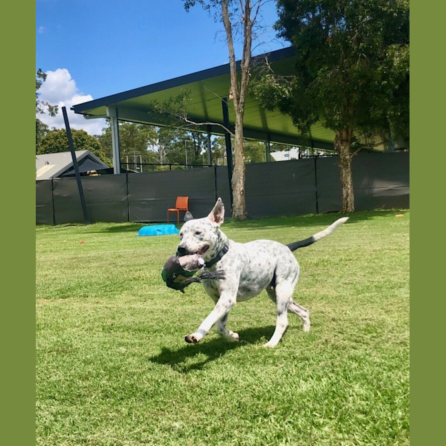 Photo of Cooper