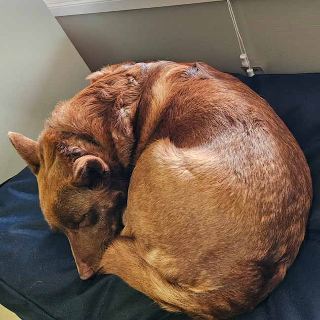 Photo of Sasha