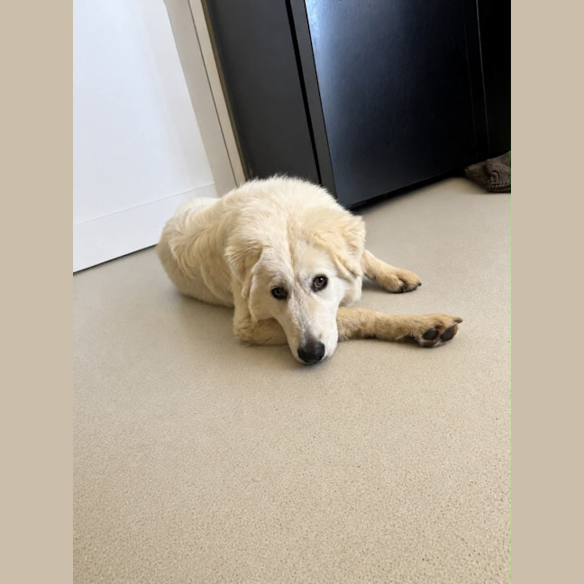 Photo of Angel