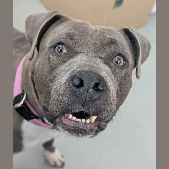 Photo of 🍧 Sassy 6524 🍧