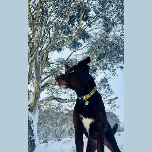 Photo of Milo Haliwell