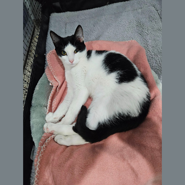 Photo of Mina