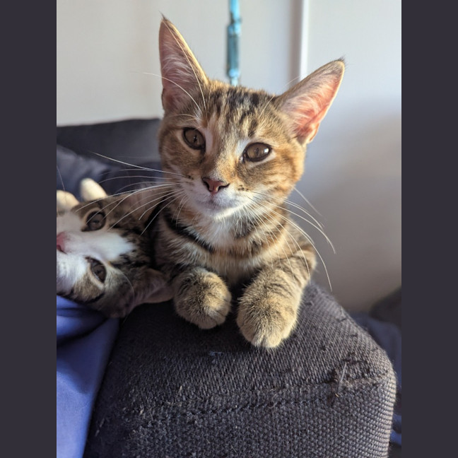 Photo of Blanche Golden