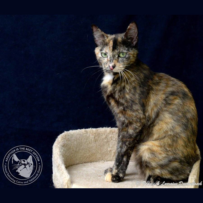 Photo of Eagless And Weston