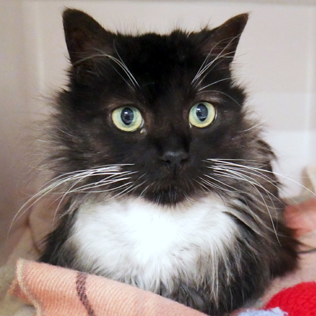 Photo of Chici Sta013990