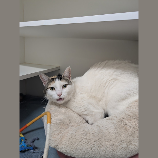 Photo of Thelma