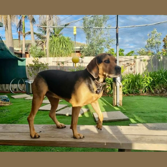 Photo of Missy