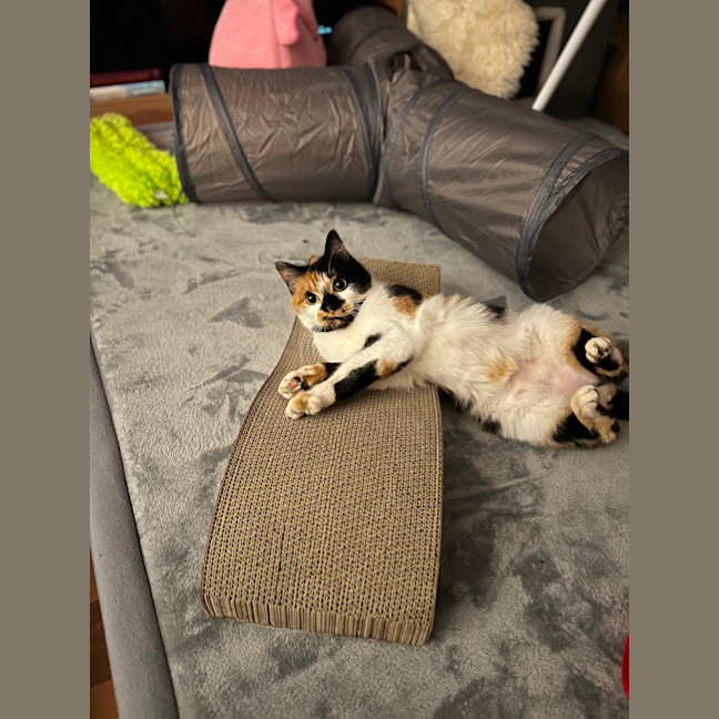 Photo of Sophie