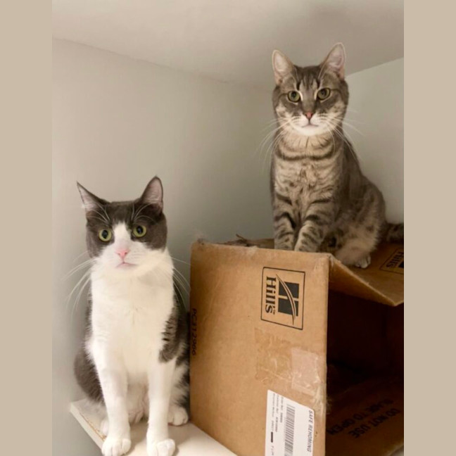 Photo of Dorian And Sterling