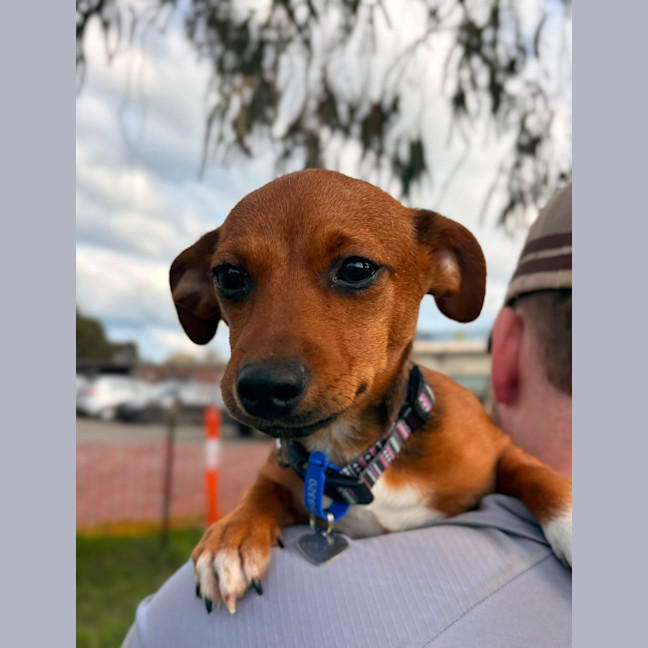 Photo of Happy