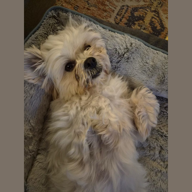 Photo of Nellie