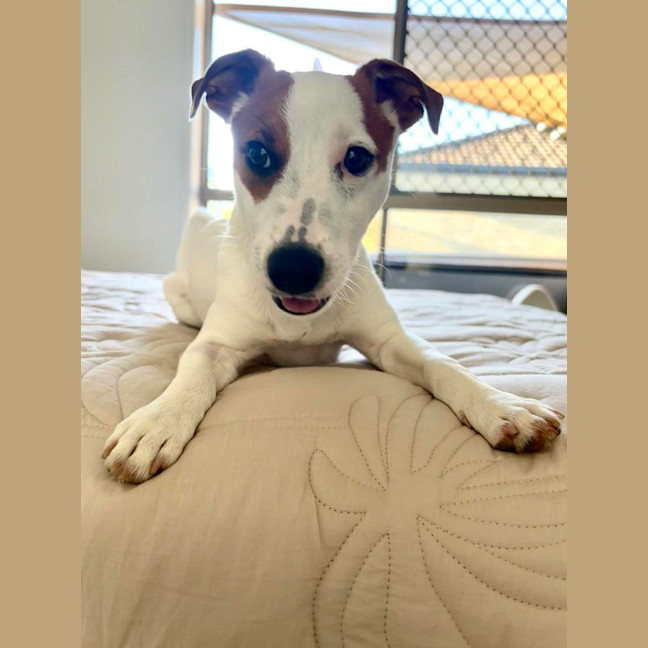 Photo of Winston