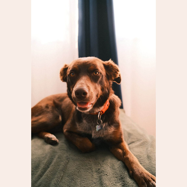 Photo of Tessa