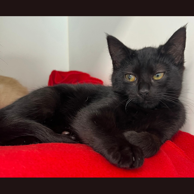 Photo of Jelly (Bonded To Bean)
