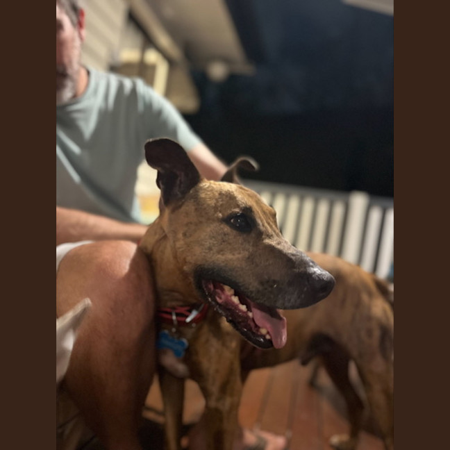 Photo of Trigger