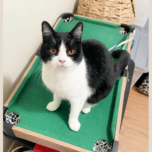 Photo of 🍀Blanaid🍀