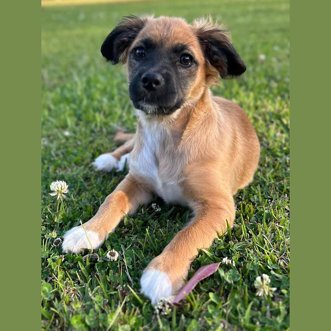 Photo of Maggie